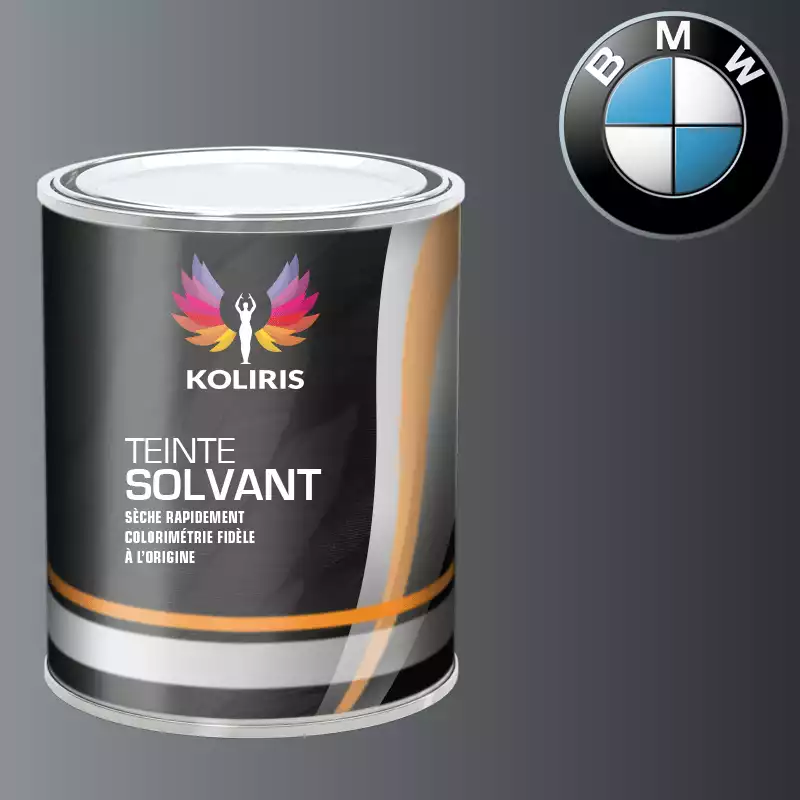 Peinture moto solvant Bmw Moto