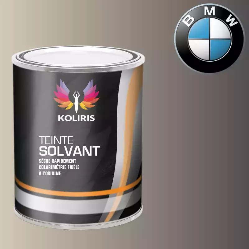 Peinture moto solvant Bmw Moto