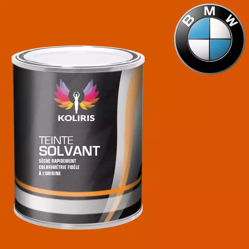 Peinture moto solvant Bmw Moto