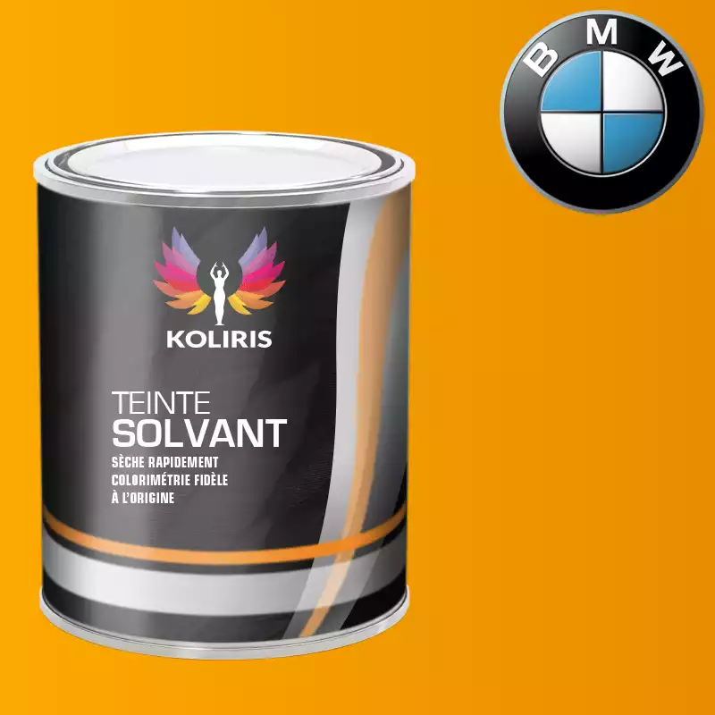 Peinture moto solvant Bmw Moto