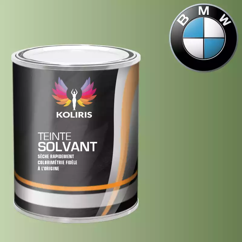 Peinture moto solvant Bmw Moto