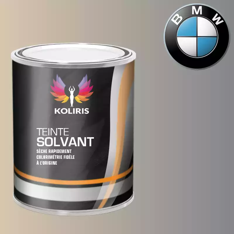 Peinture moto solvant Bmw Moto