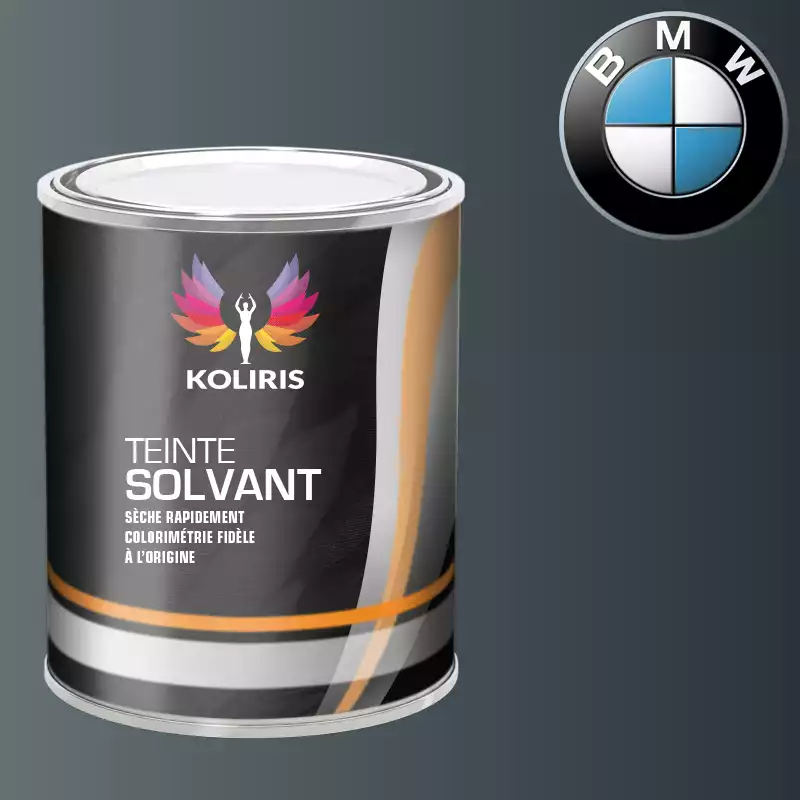 Peinture moto solvant Bmw Moto