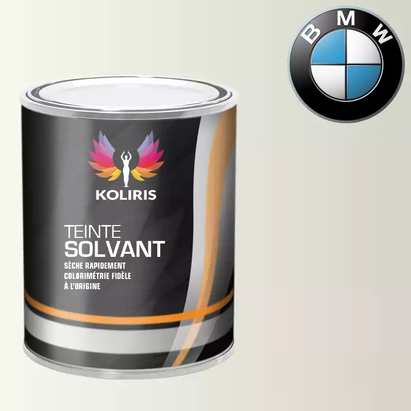 Peinture moto solvant Bmw Moto