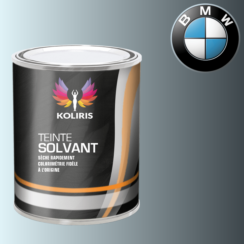 Peinture moto solvant Bmw Moto