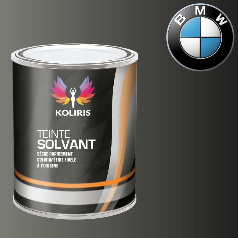 Peinture moto solvant Bmw Moto