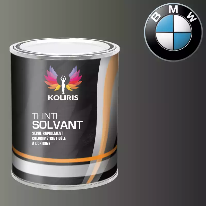 Peinture moto solvant Bmw Moto