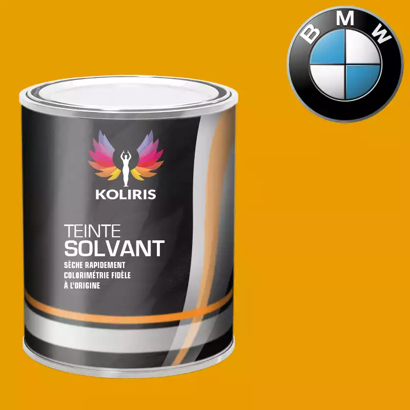 Peinture moto solvant Bmw Moto