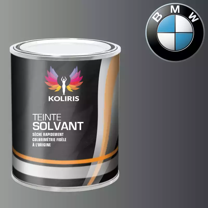 Peinture moto solvant Bmw Moto