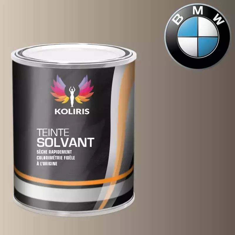 Peinture moto solvant Bmw Moto