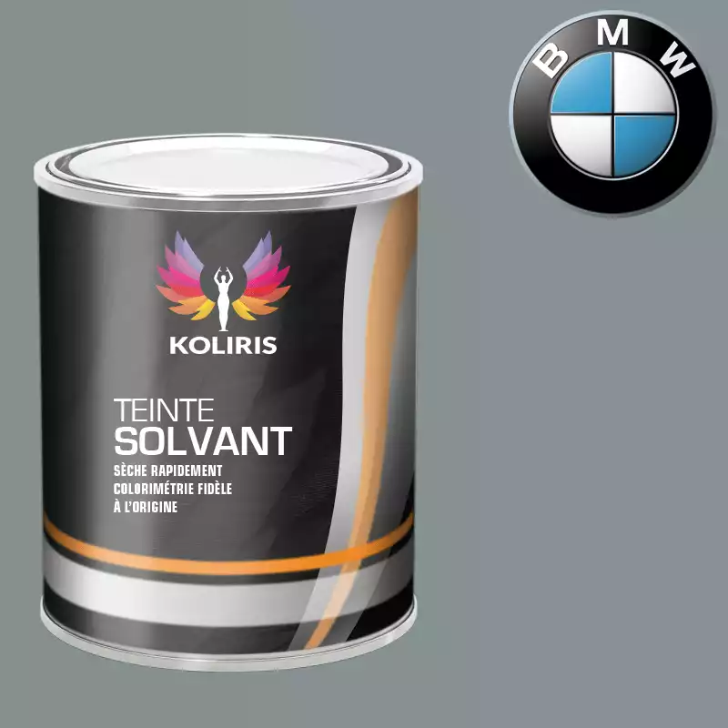 Peinture moto solvant Bmw Moto