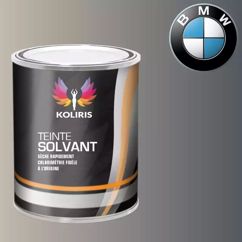 Peinture moto solvant Bmw Moto