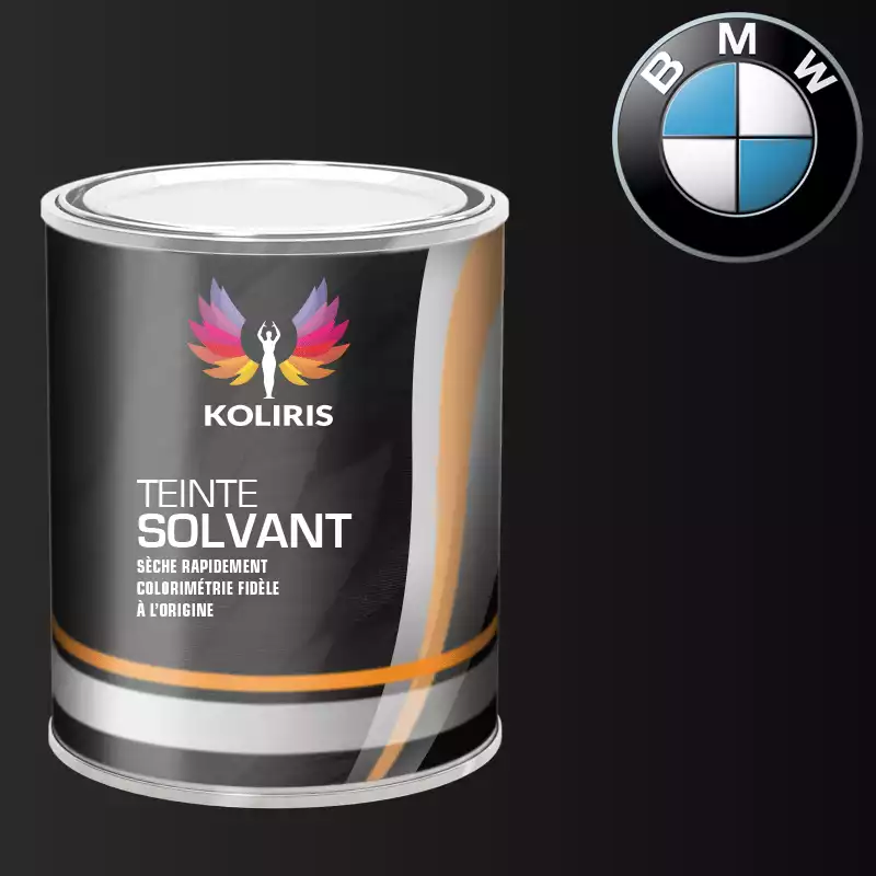 Peinture moto solvant Bmw Moto