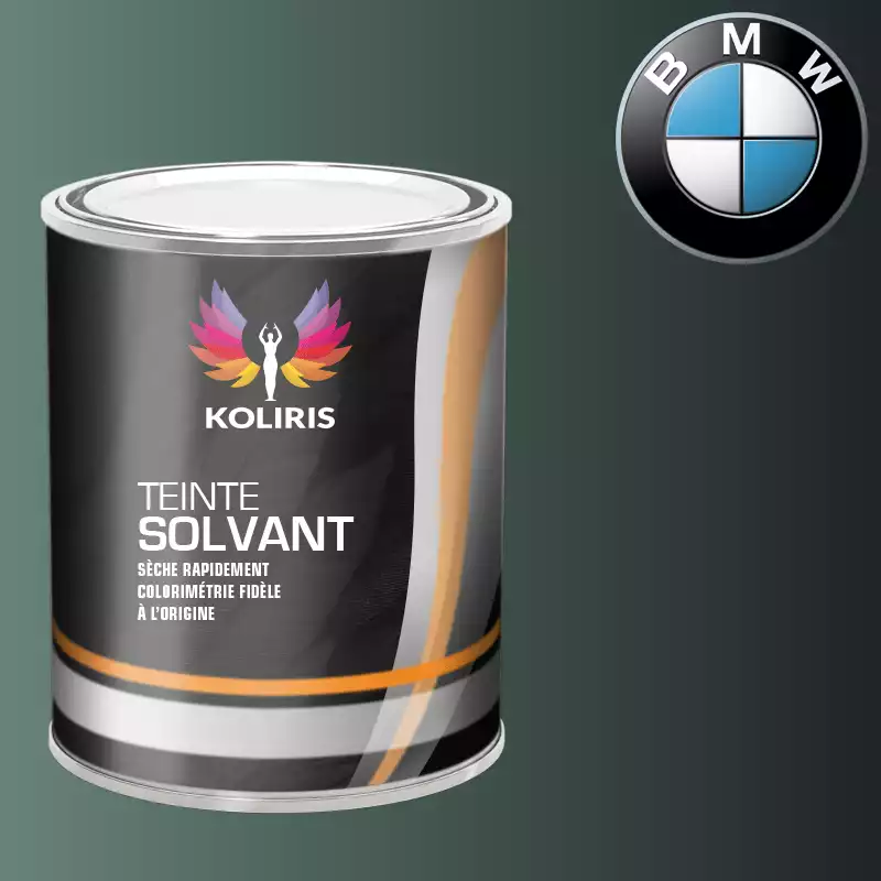 Peinture moto solvant Bmw Moto