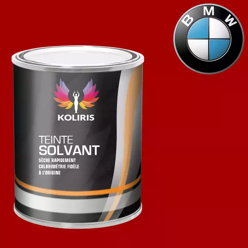 Peinture moto solvant Bmw Moto