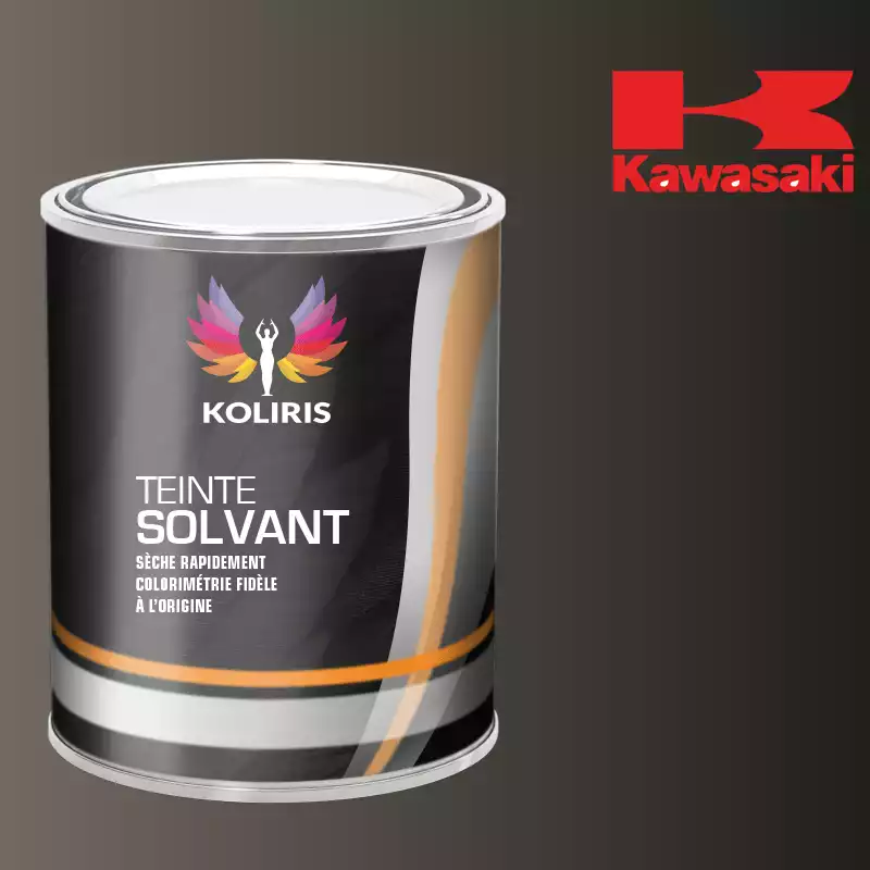 Peinture moto solvant Kawasaki Moto