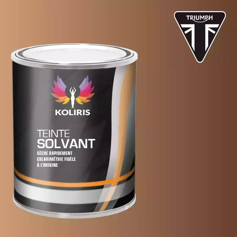 Peinture moto solvant Triumph Moto