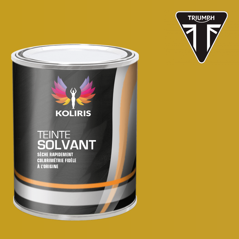 Peinture moto solvant Triumph Moto
