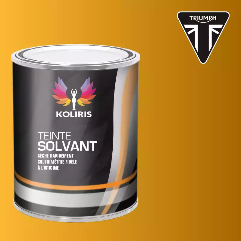 Peinture moto solvant Triumph Moto