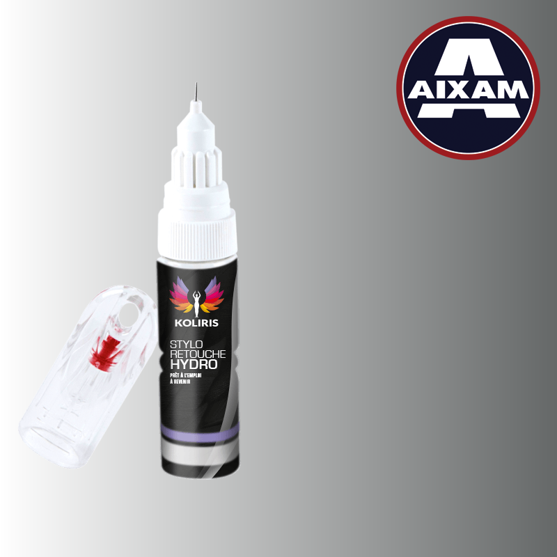 Stylo retouche peinture voiture Aixam 20ml