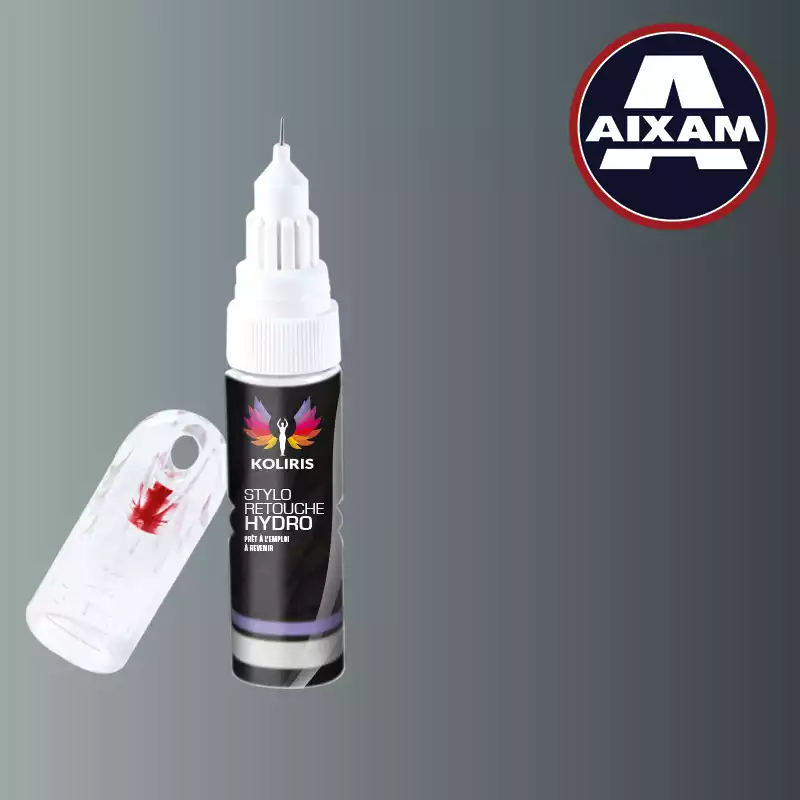 Stylo retouche peinture voiture Aixam 20ml