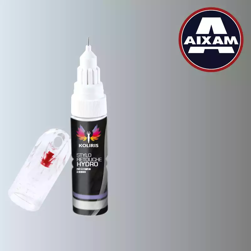 Stylo retouche peinture voiture Aixam 20ml