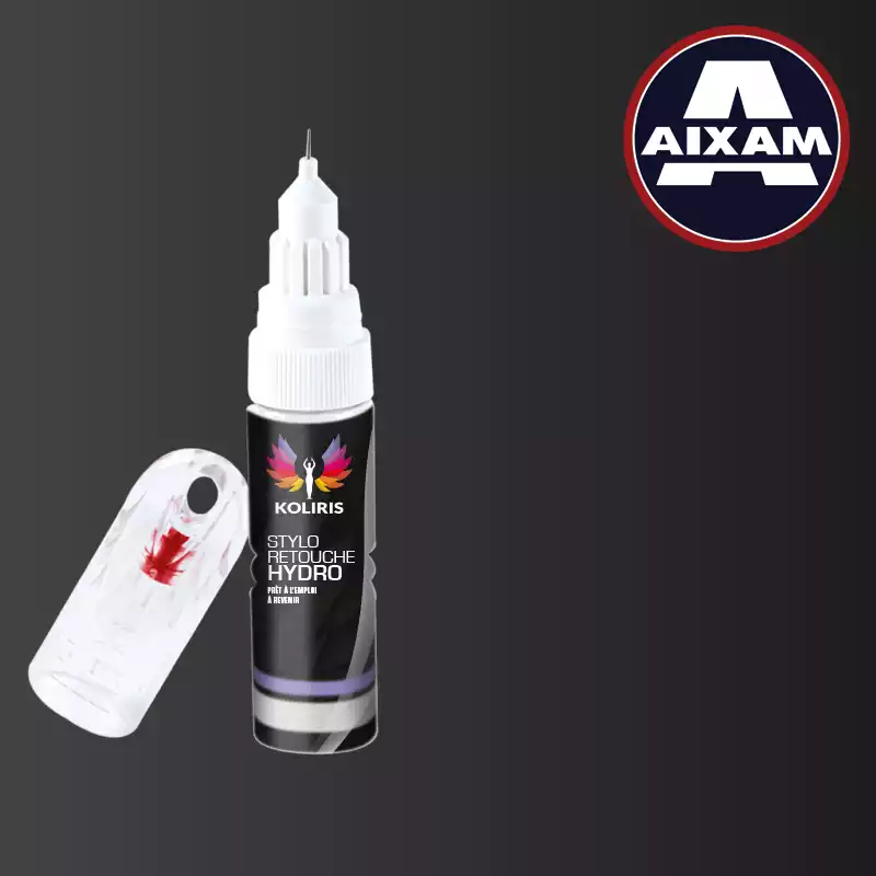 Stylo retouche peinture voiture Aixam 20ml