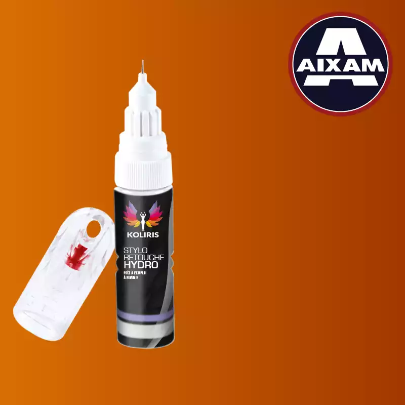 Stylo retouche peinture voiture Aixam 20ml