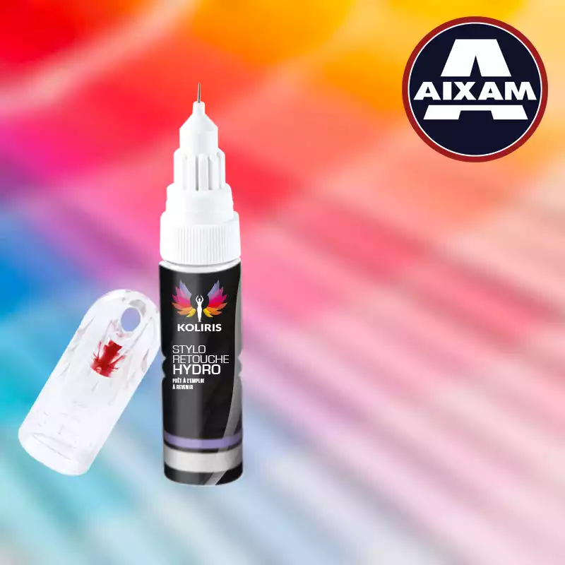 Stylo retouche peinture voiture Aixam 20ml