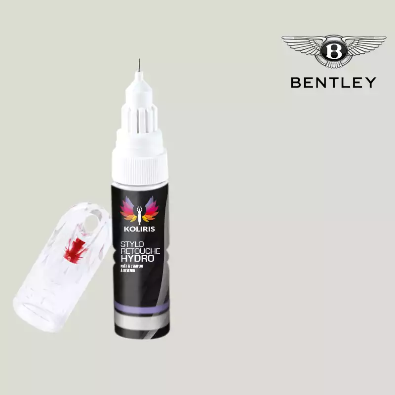 Stylo retouche peinture voiture Bentley 20ml