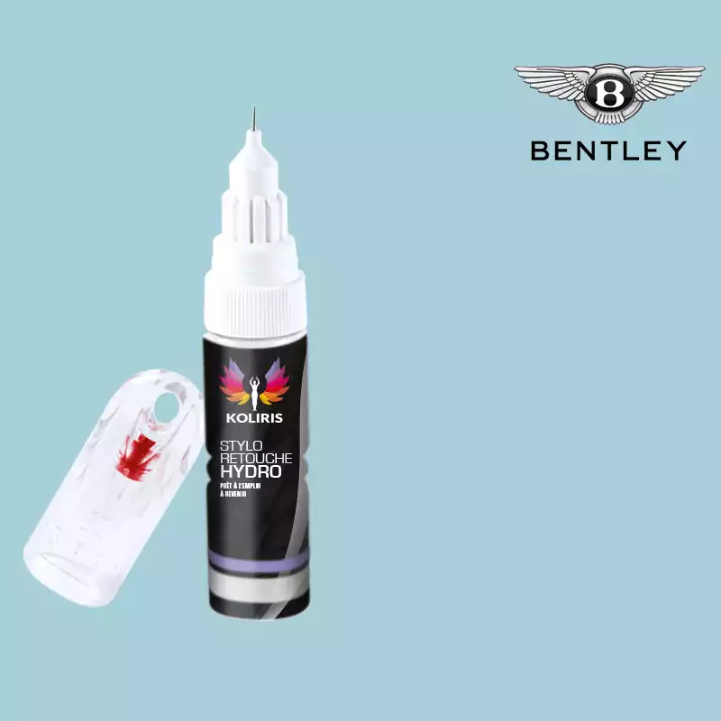 Stylo retouche peinture voiture Bentley 20ml