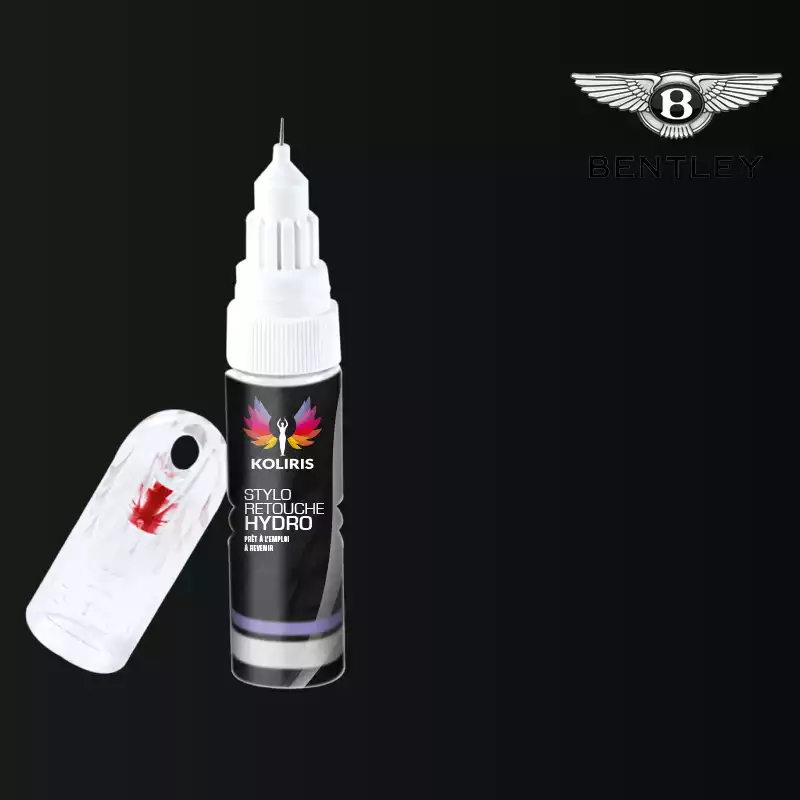 Stylo retouche peinture voiture Bentley 20ml