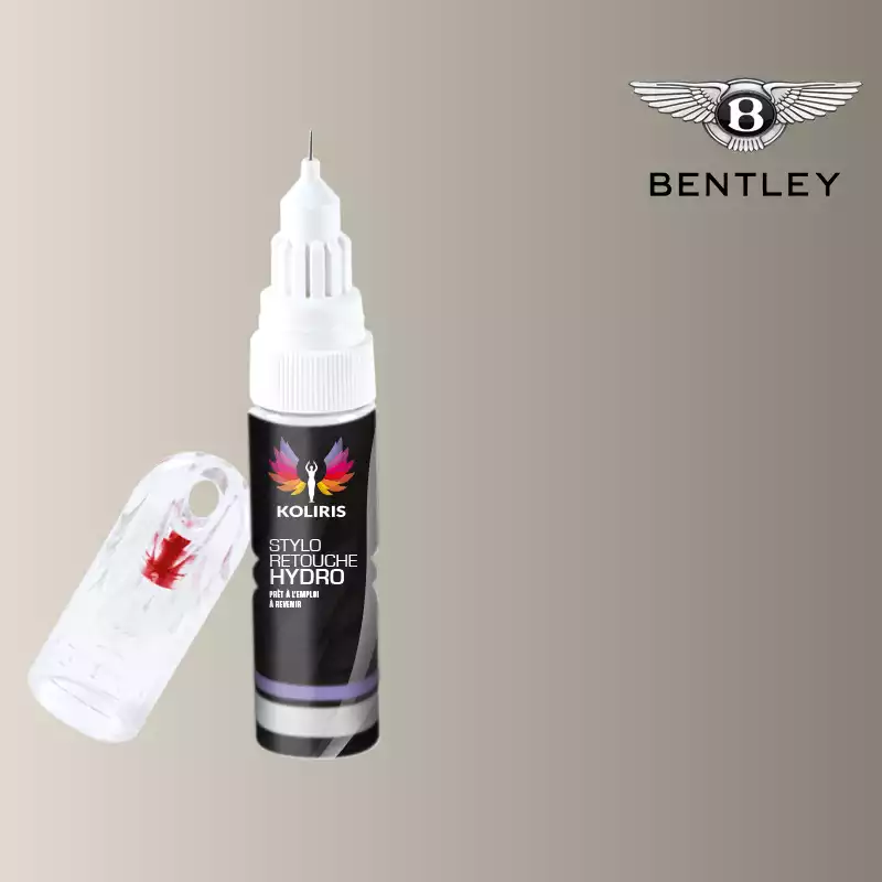 Stylo retouche peinture voiture Bentley 20ml