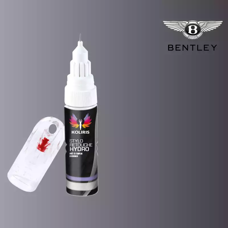 Stylo retouche peinture voiture Bentley 20ml