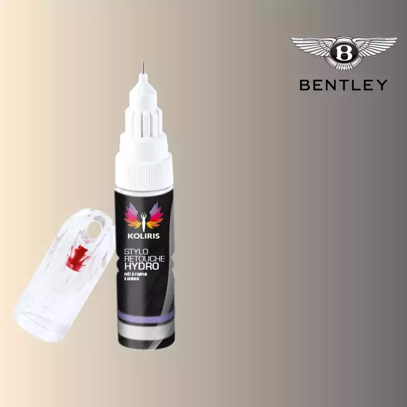 Stylo retouche peinture voiture Bentley 20ml