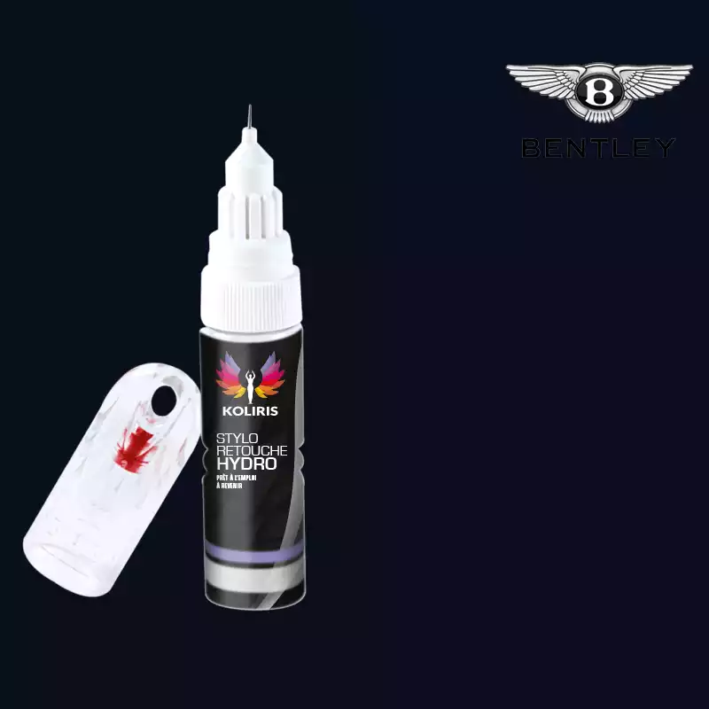 Stylo retouche peinture voiture Bentley 20ml