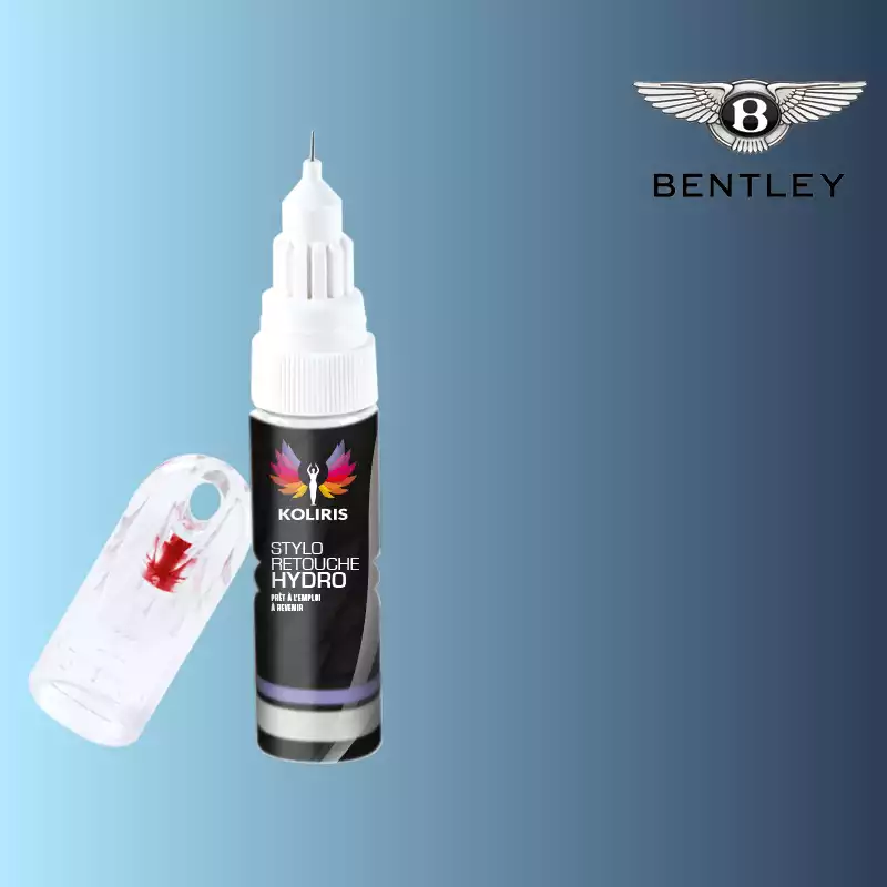 Stylo retouche peinture voiture Bentley 20ml