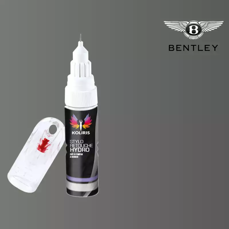 Stylo retouche peinture voiture Bentley 20ml