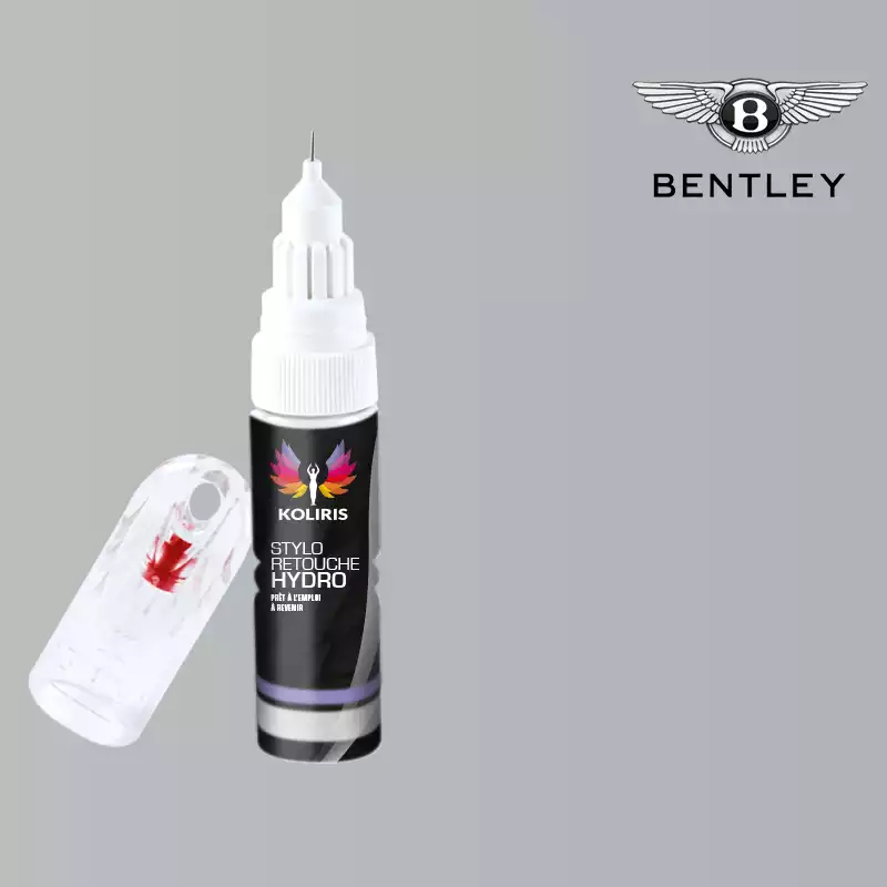 Stylo retouche peinture voiture Bentley 20ml