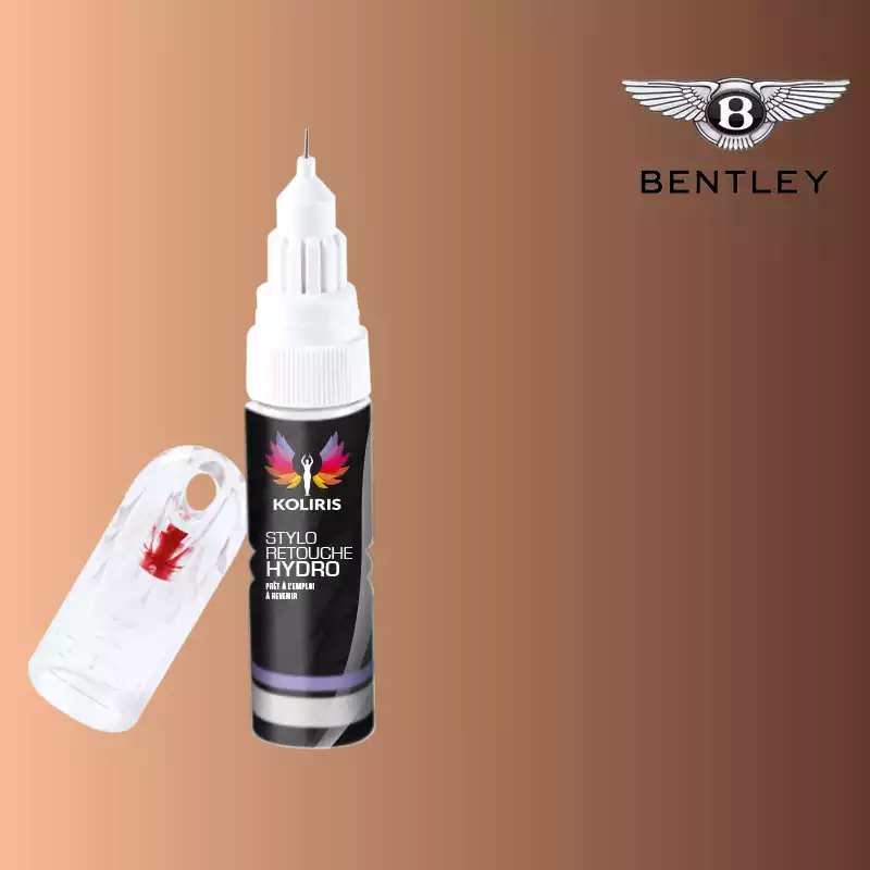 Stylo retouche peinture voiture Bentley 20ml