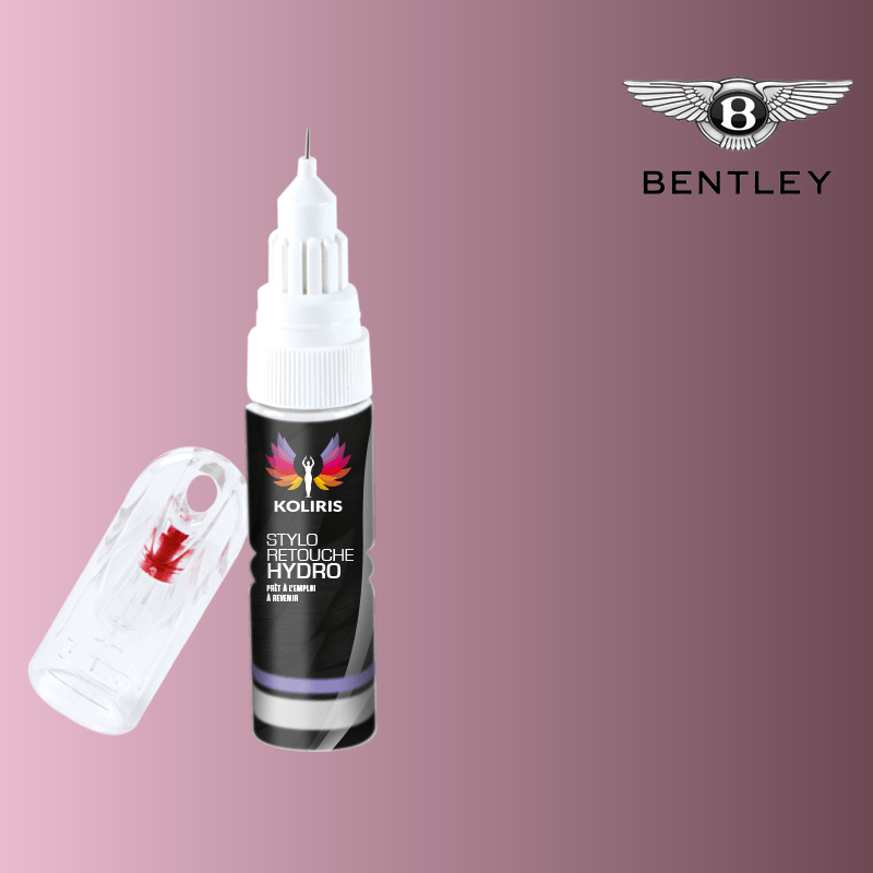 Stylo retouche peinture voiture Bentley 20ml