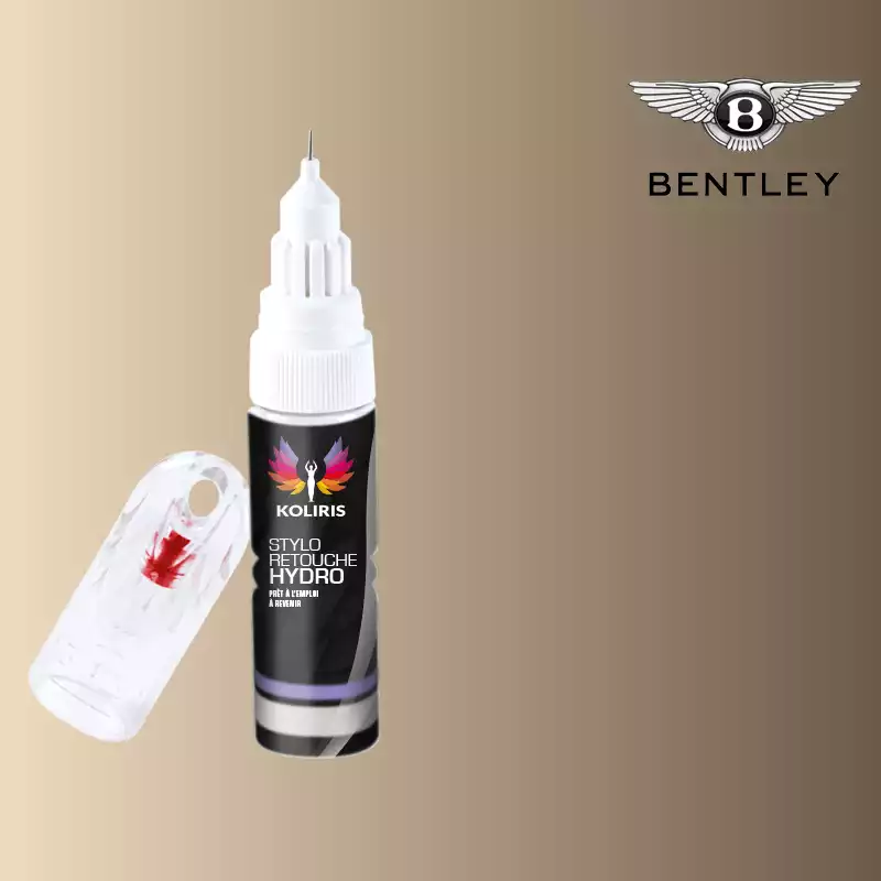 Stylo retouche peinture voiture Bentley 20ml