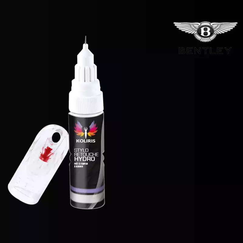 Stylo retouche peinture voiture Bentley 20ml