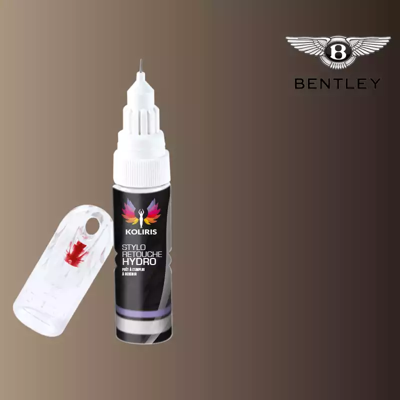 Stylo retouche peinture voiture Bentley 20ml