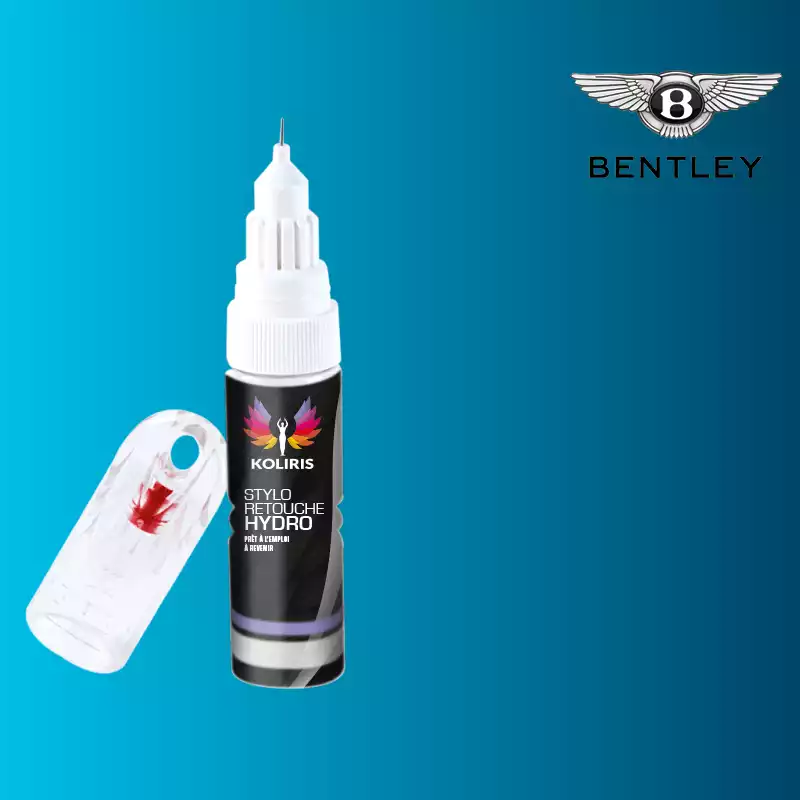 Stylo retouche peinture voiture Bentley 20ml