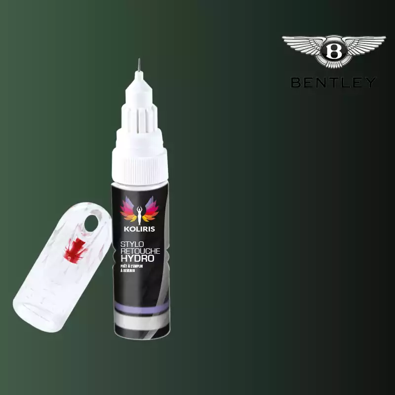 Stylo retouche peinture voiture Bentley 20ml