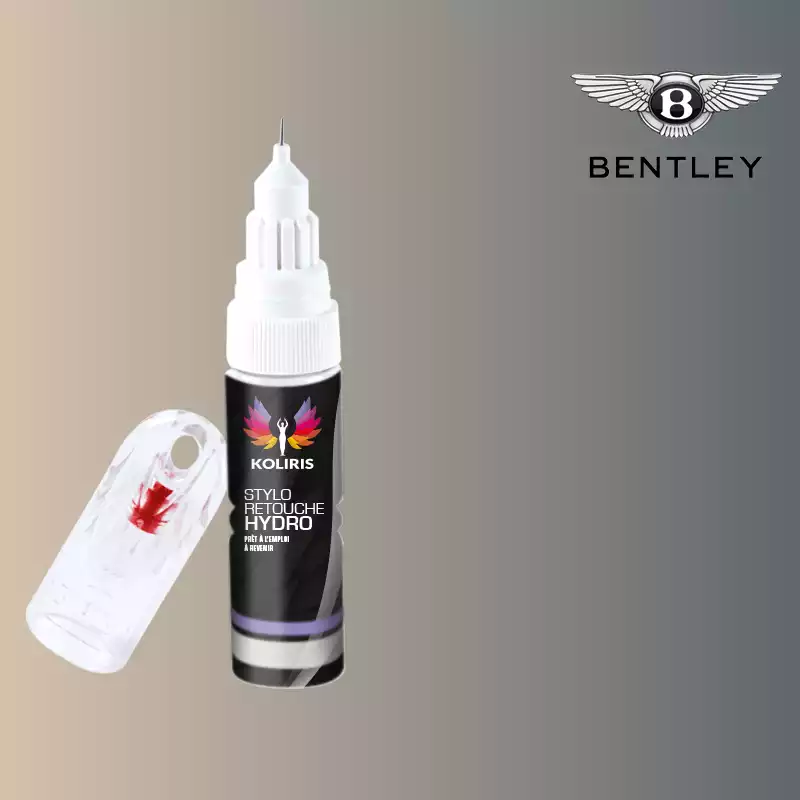 Stylo retouche peinture voiture Bentley 20ml