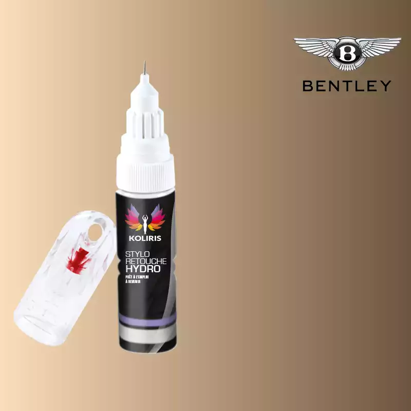 Stylo retouche peinture voiture Bentley 20ml