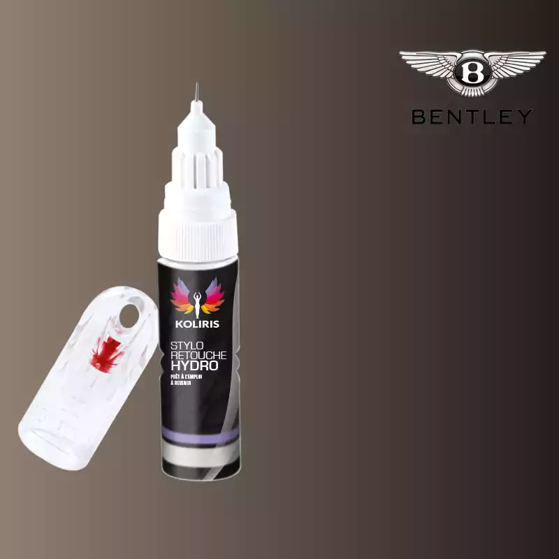 Stylo retouche peinture voiture Bentley 20ml