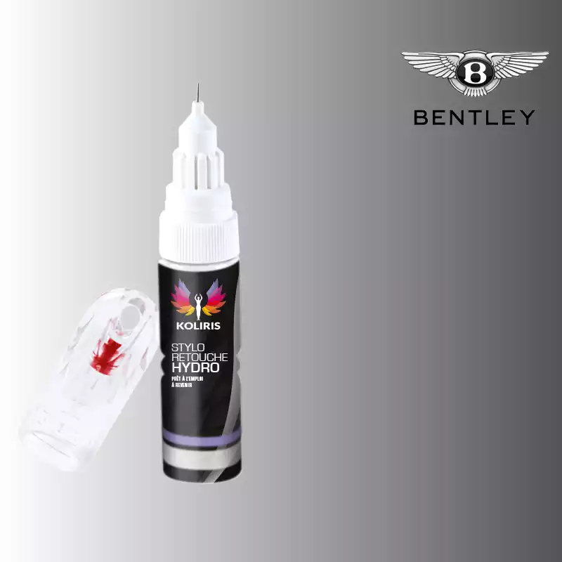 Stylo retouche peinture voiture Bentley 20ml